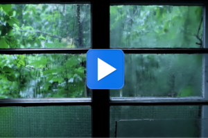 Laissez la pluie purifier votre esprit : cette vidéo de relaxation au rythme des gouttes vous surprendra